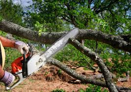 Best Lawn Irrigation Installation and Maintenance  in Halls, TN